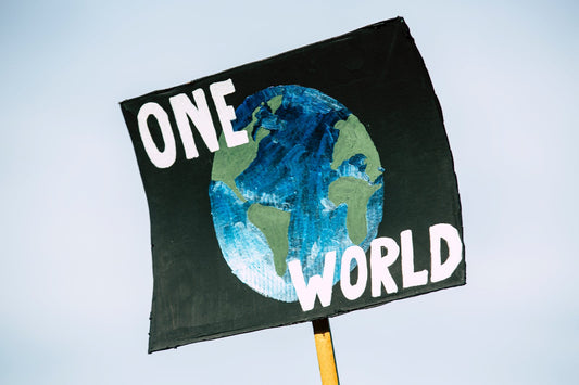 How to be a Sustainable Collector in 2023
