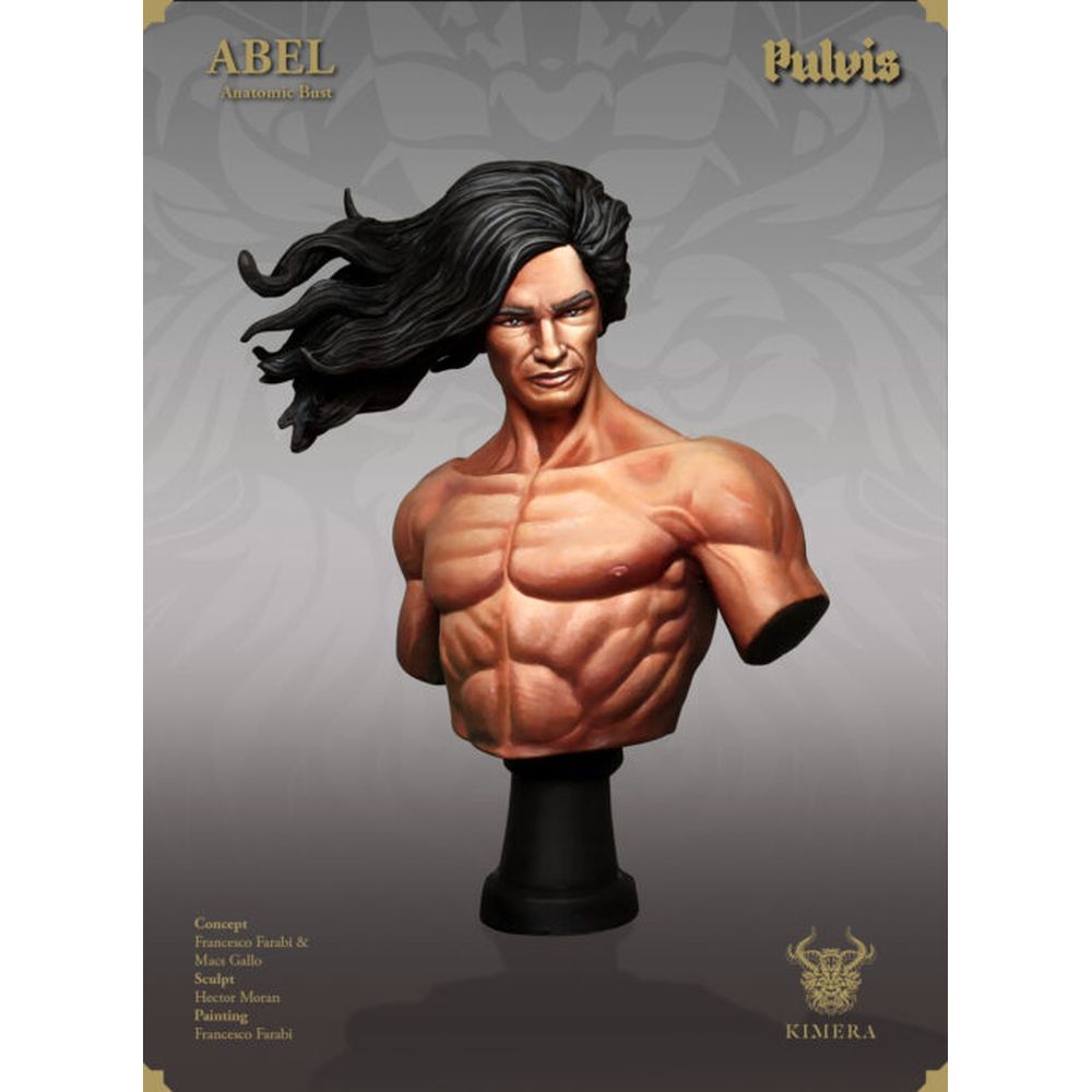 Kimera Models - K Busts Series - Abel Bust Anatomic Version