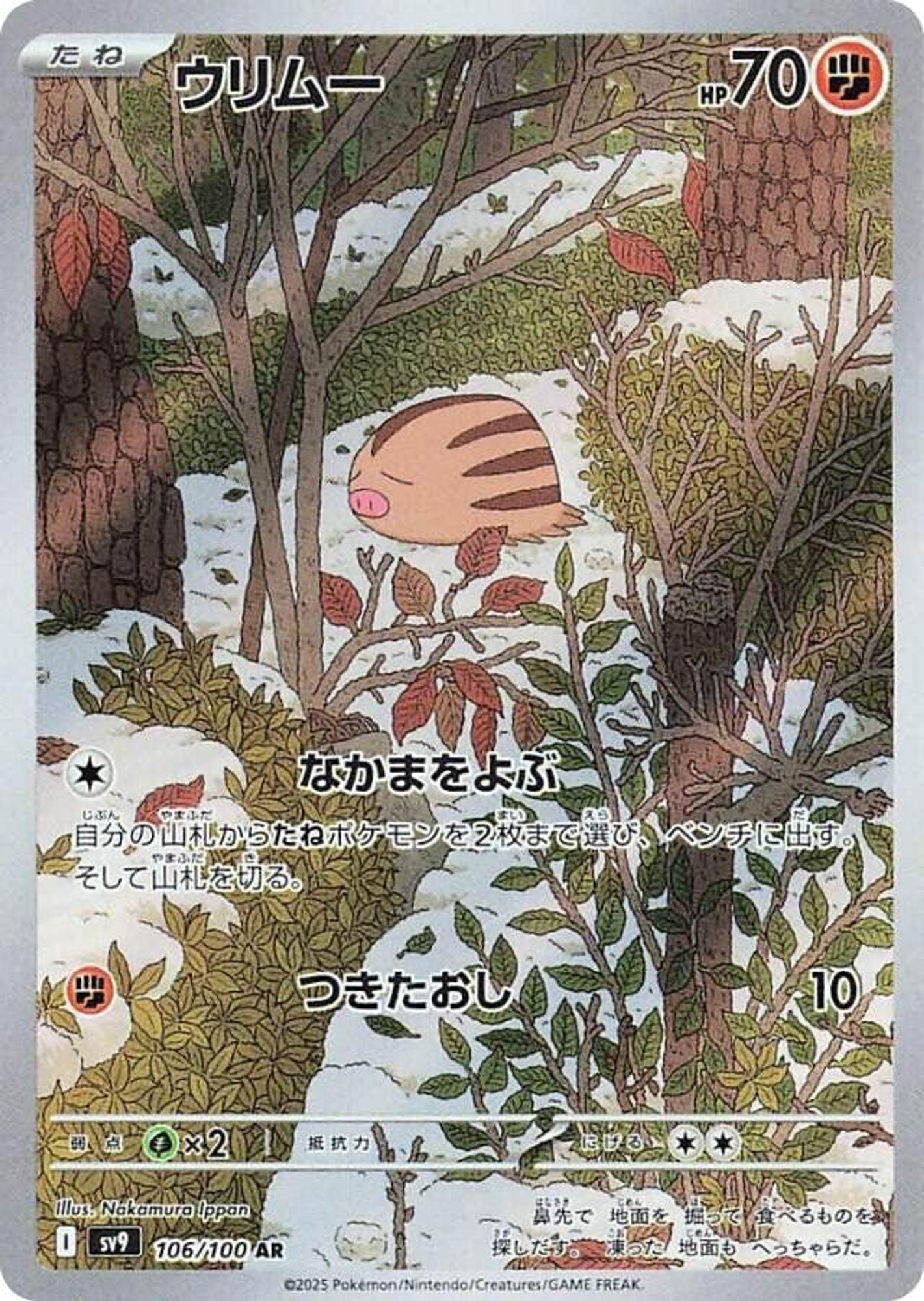 Swinub - 106/100