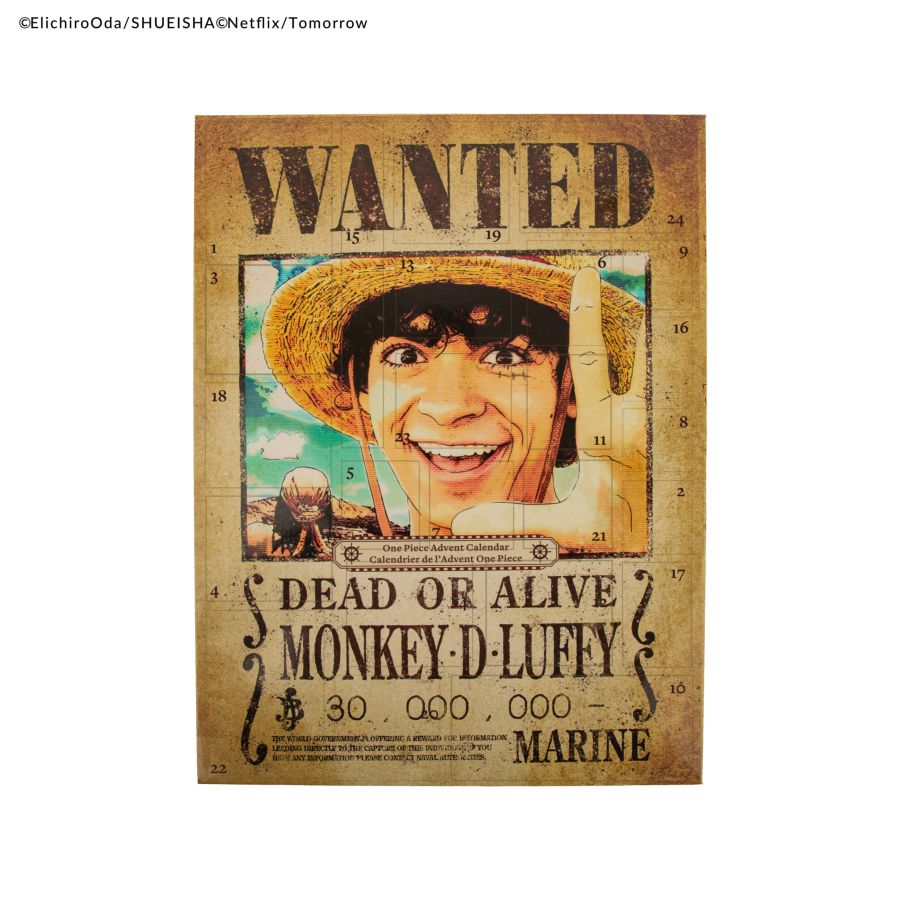 One Piece - 2025 Advent Calendar