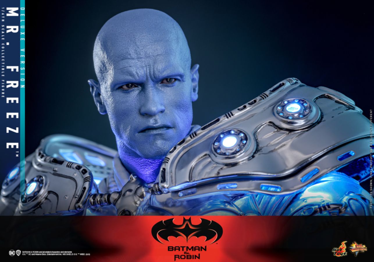 Batman & Robin - Mr Freeze Deluxe 1:6 Scale Collectable Action Figure