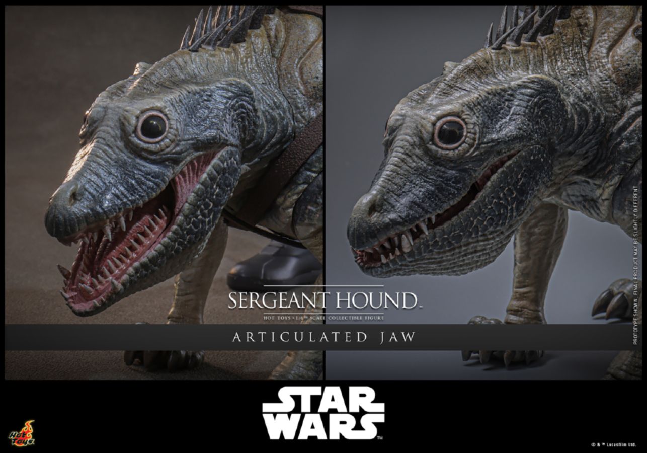 Star Wars: The Clone Wars - Sergeant Hound 1:6 Scale Collectable Action Figure