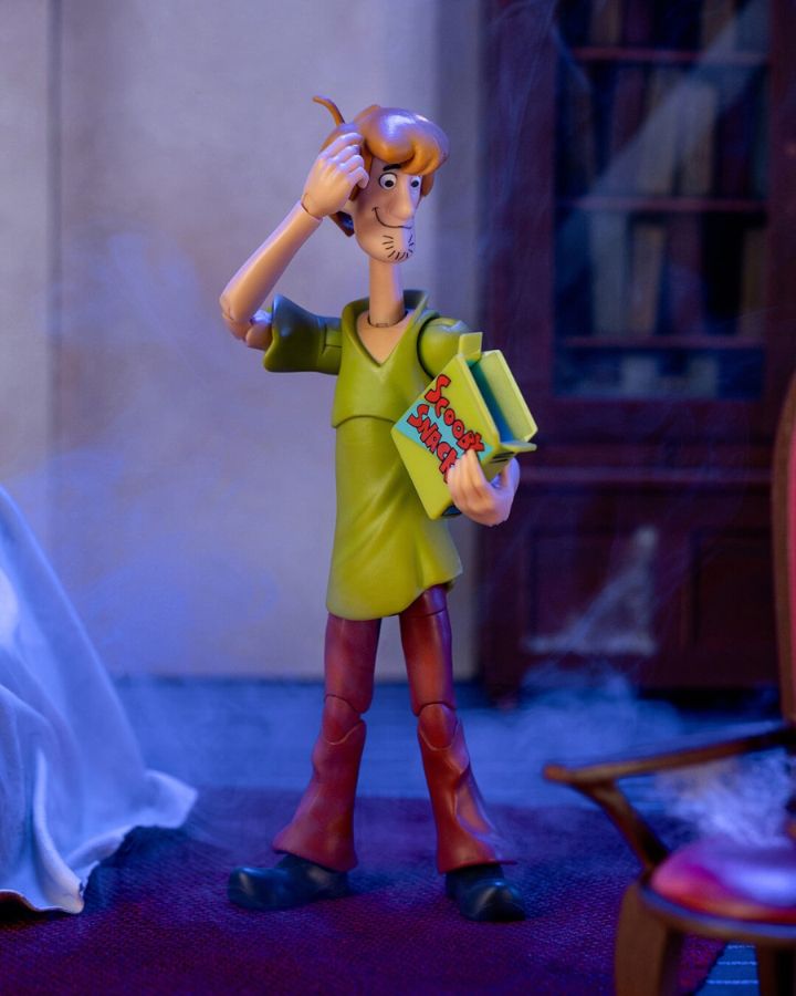 Scooby Doo - Shaggy 6" Action Figure