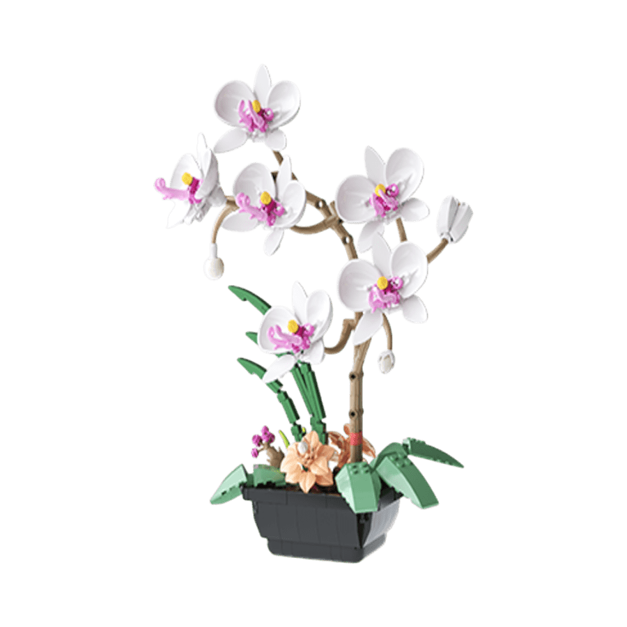 JAKI - Quiet White Moth Orchid Plastic Brick Model Kit (589 Piece Set)