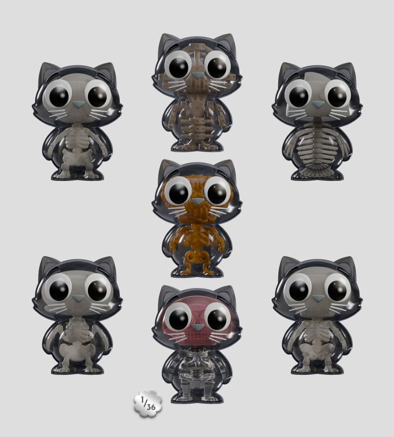 Kaleidos Creative - Catscans Bare Bones Blind Box Series 2 (Display of 6)