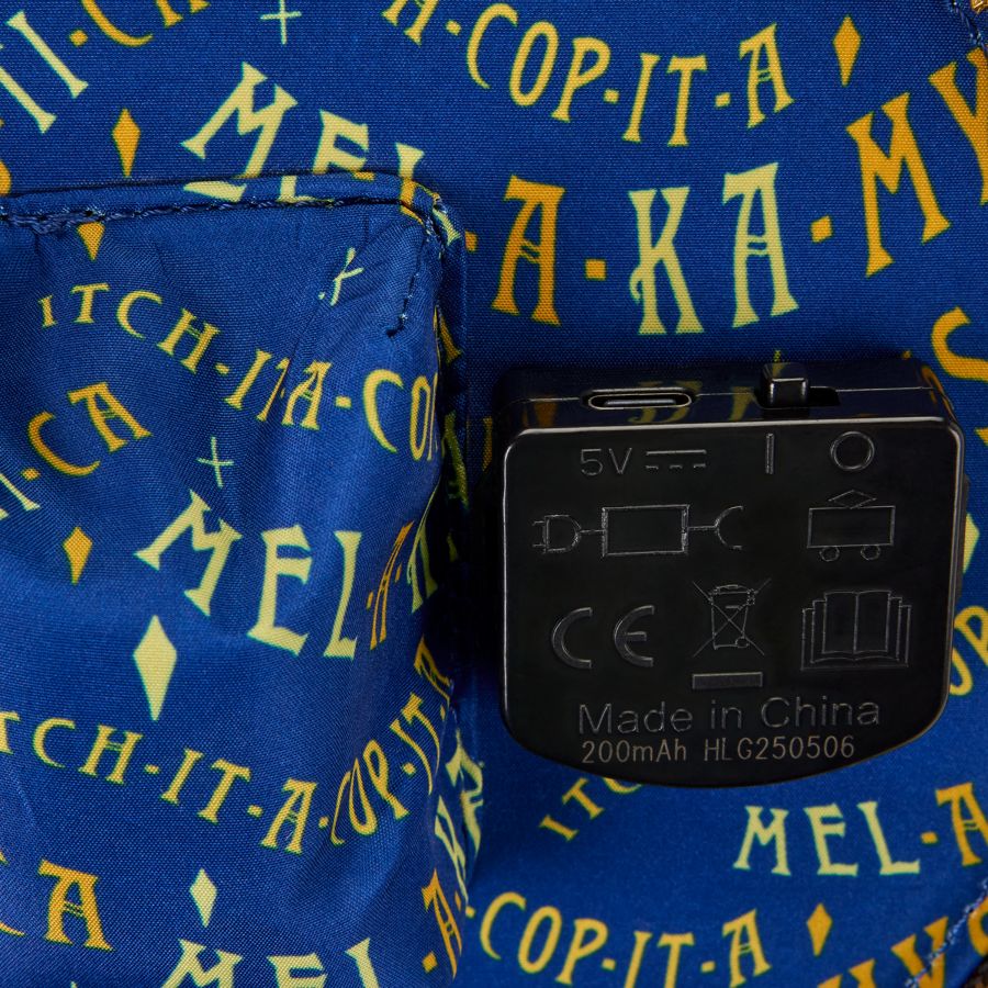 Hocus Pocus - Sanderson Sisters Flying Dome Crossbody