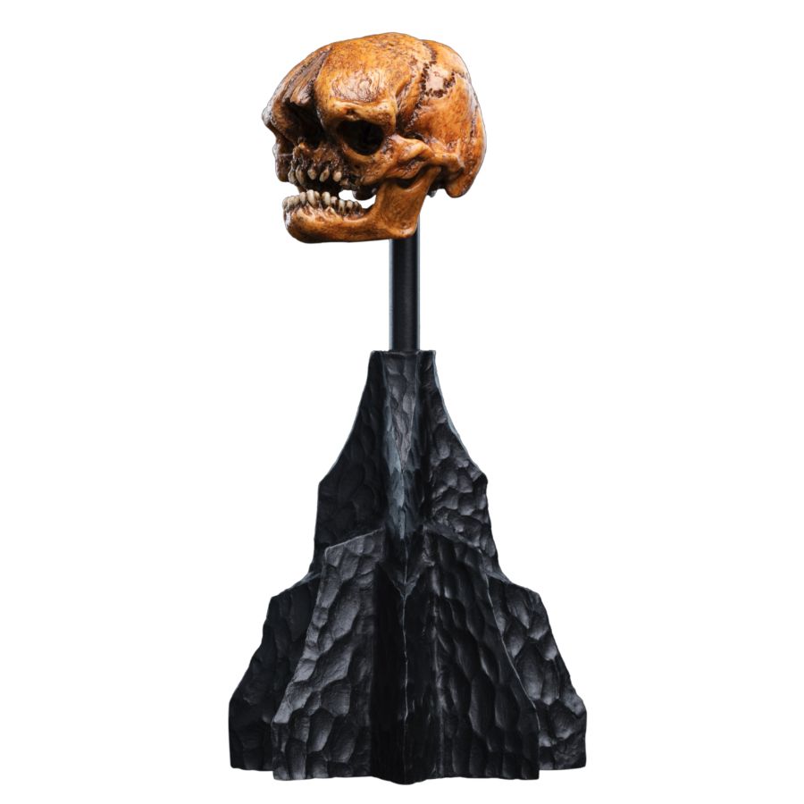 The Hobbit - Skull of a Misty Mountain Goblin Miniature