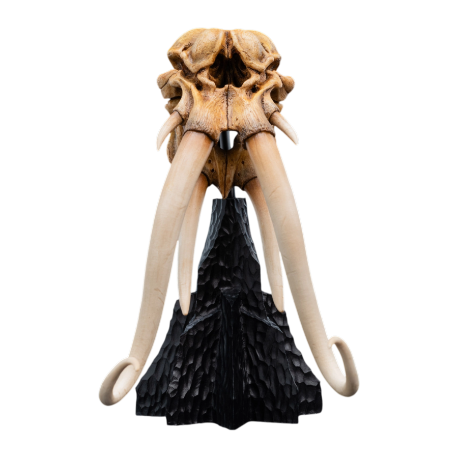The Lord of the Rings - Skull of A Mumak SDCC 2025 Miniature Statue