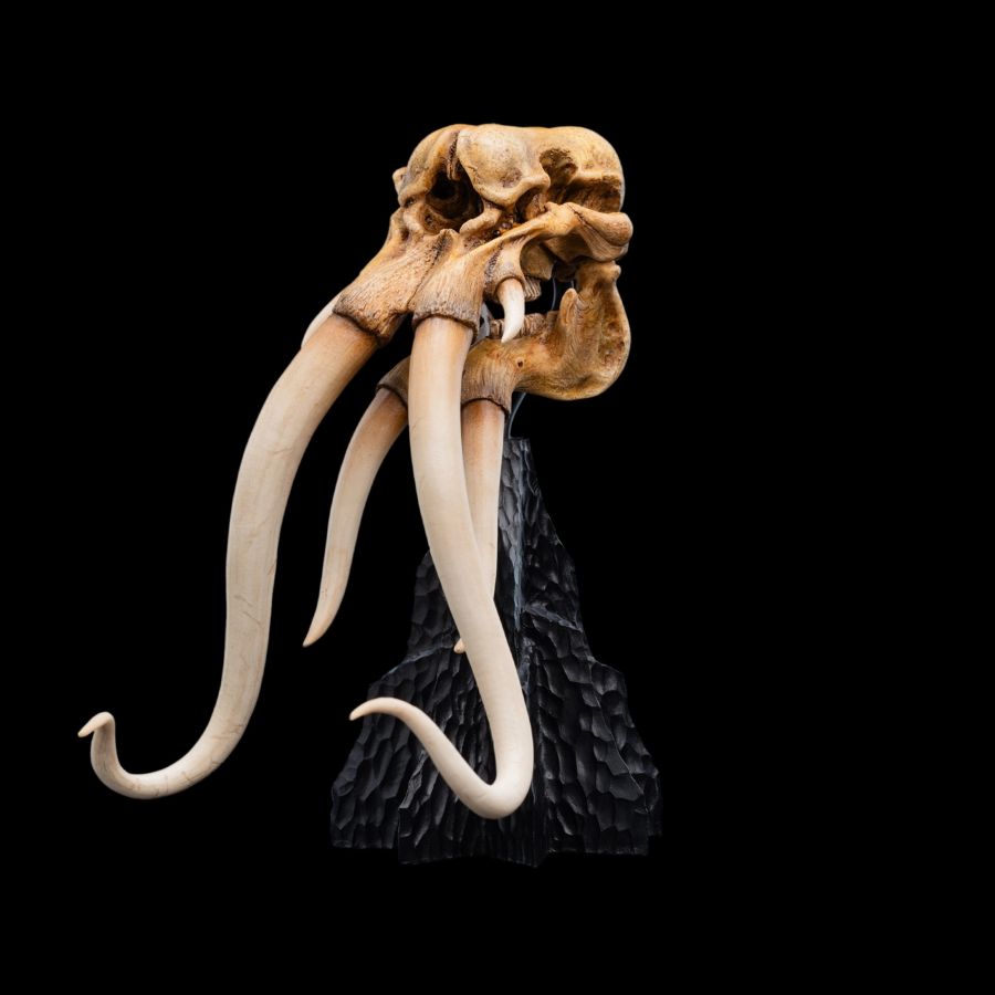 The Lord of the Rings - Skull of A Mumak SDCC 2025 Miniature Statue