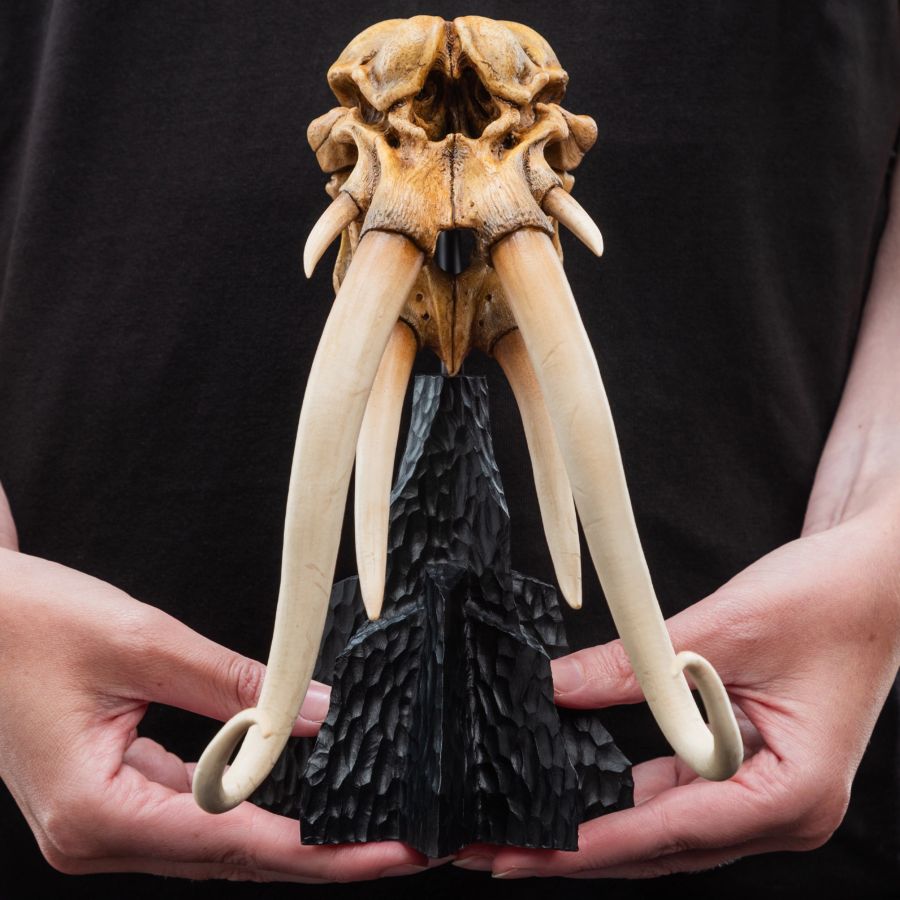 The Lord of the Rings - Skull of A Mumak SDCC 2025 Miniature Statue