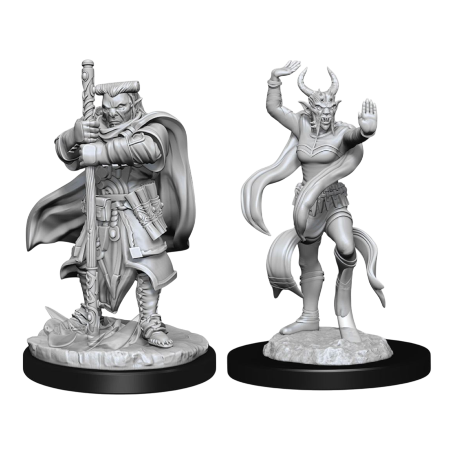 Dungeons & Dragons - Nolzur's Marvelous Unpainted Minis: Hobgoblin Devastator & Iron Shadow