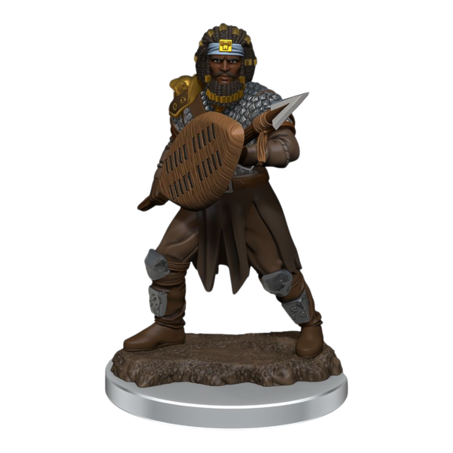 Dungeons & Dragons - Icons of the Realms Premium Male Human Fighter