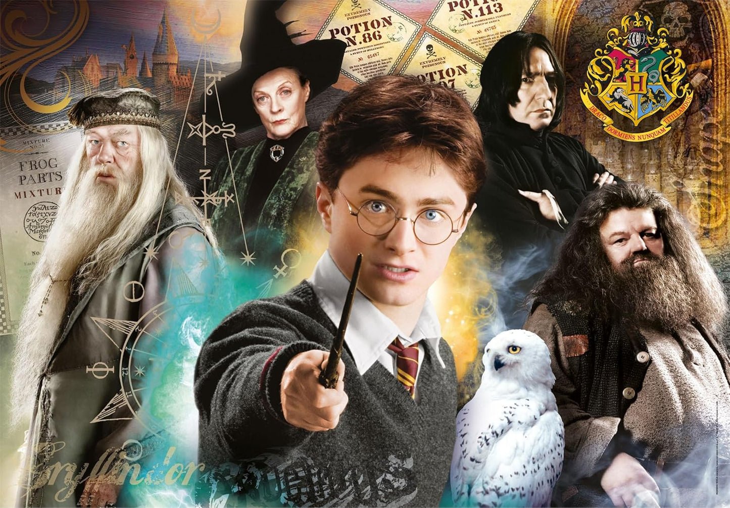 Clementoni Puzzle Harry Potter Design 1 Poster Included 500 Pieces