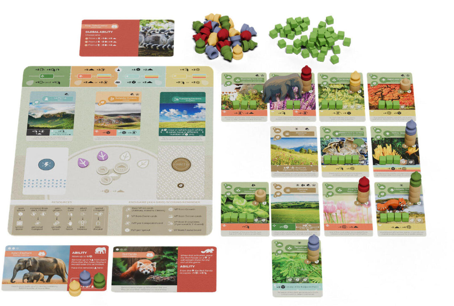 Earth - Animal Kingdom Expansion