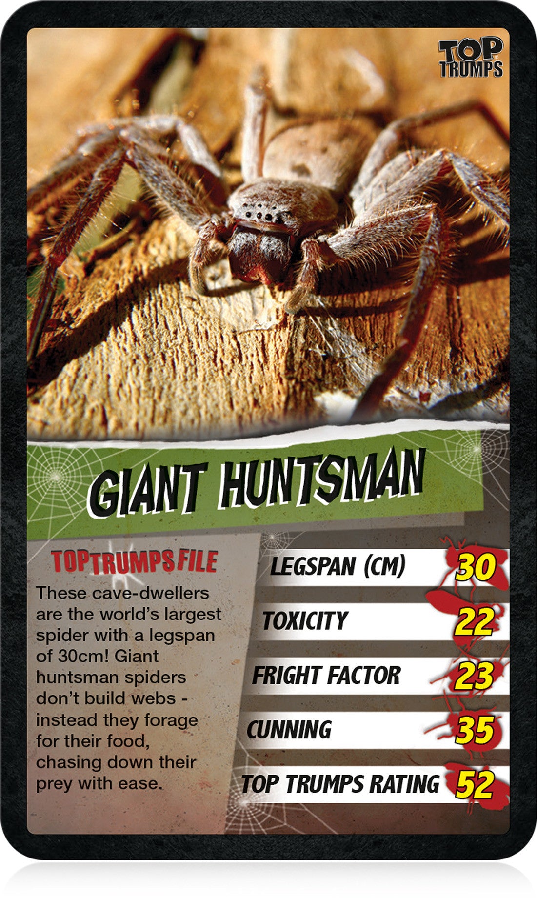 Spiders Top Trumps