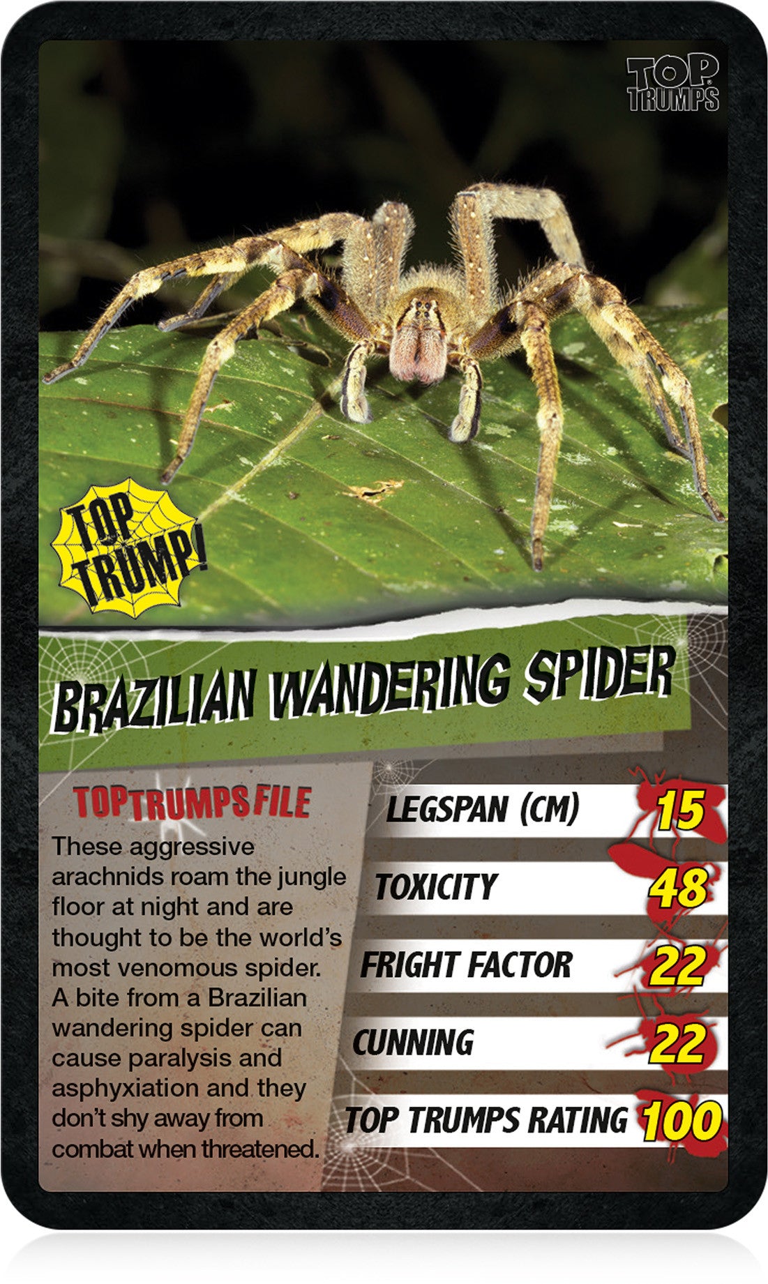 Spiders Top Trumps