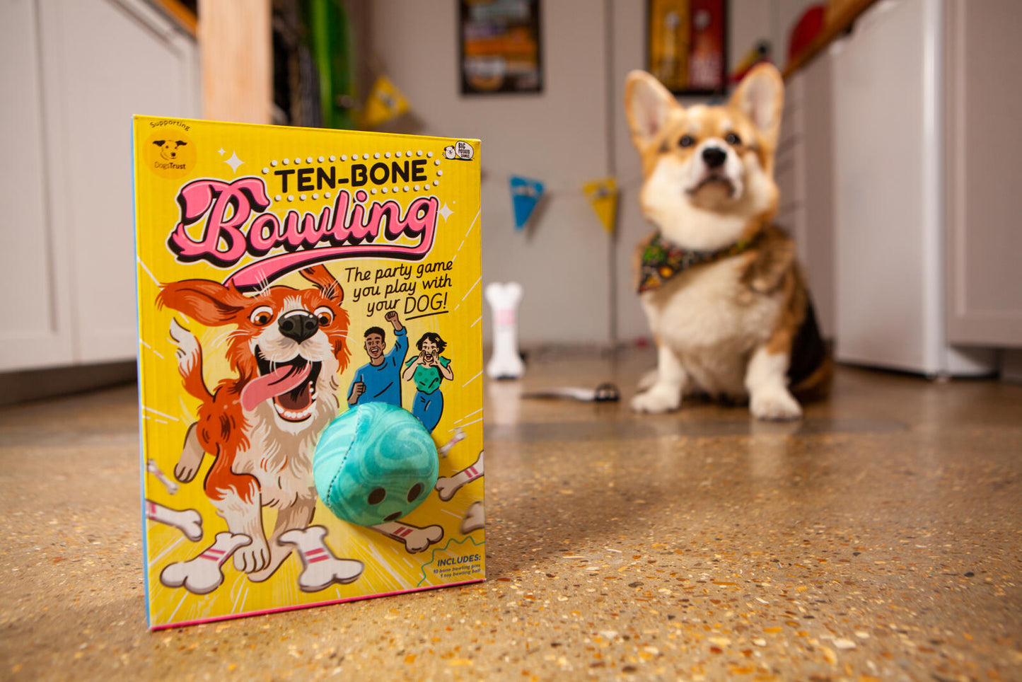 Ten Bone Bowling