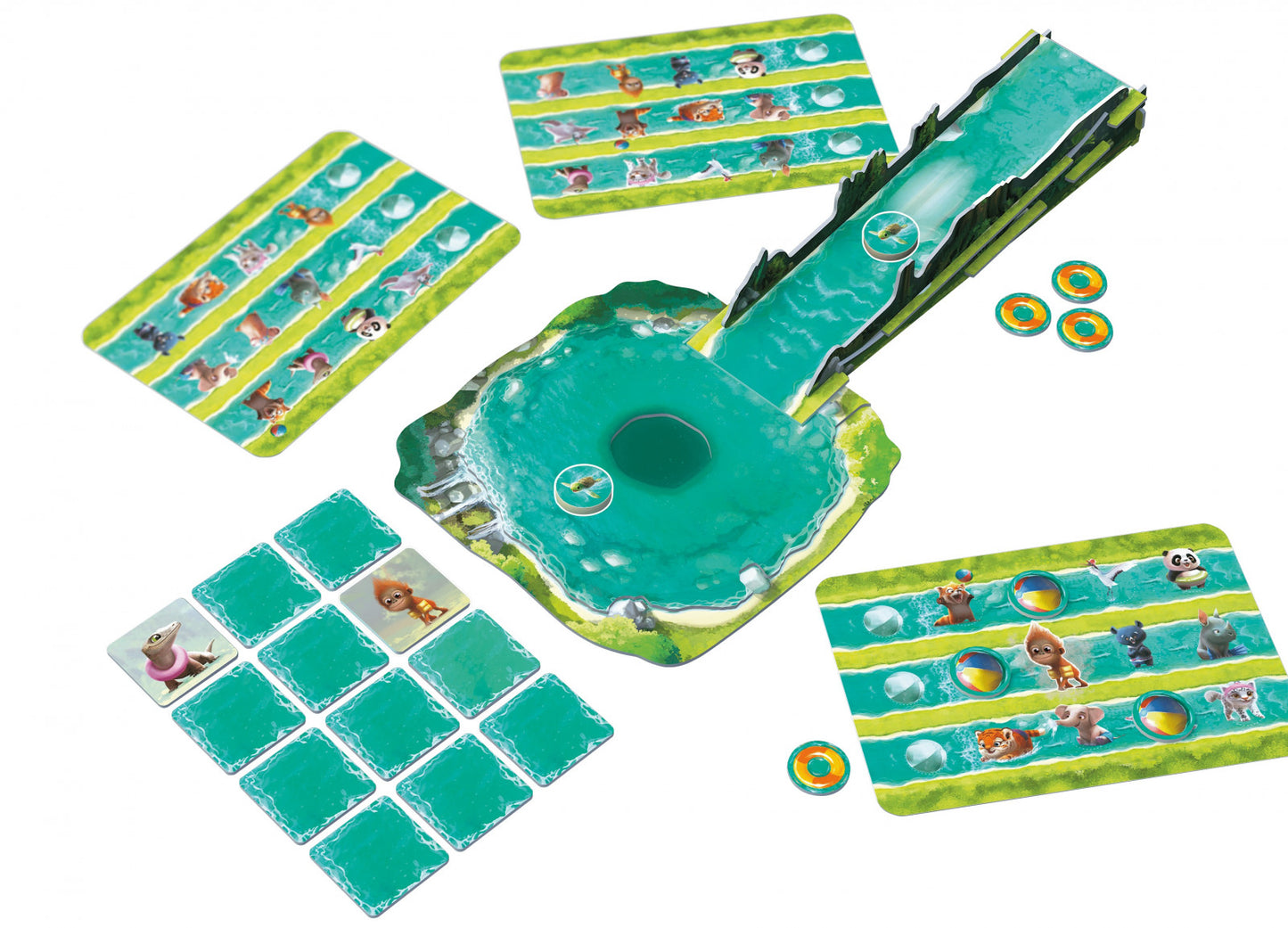 Turtle Splash