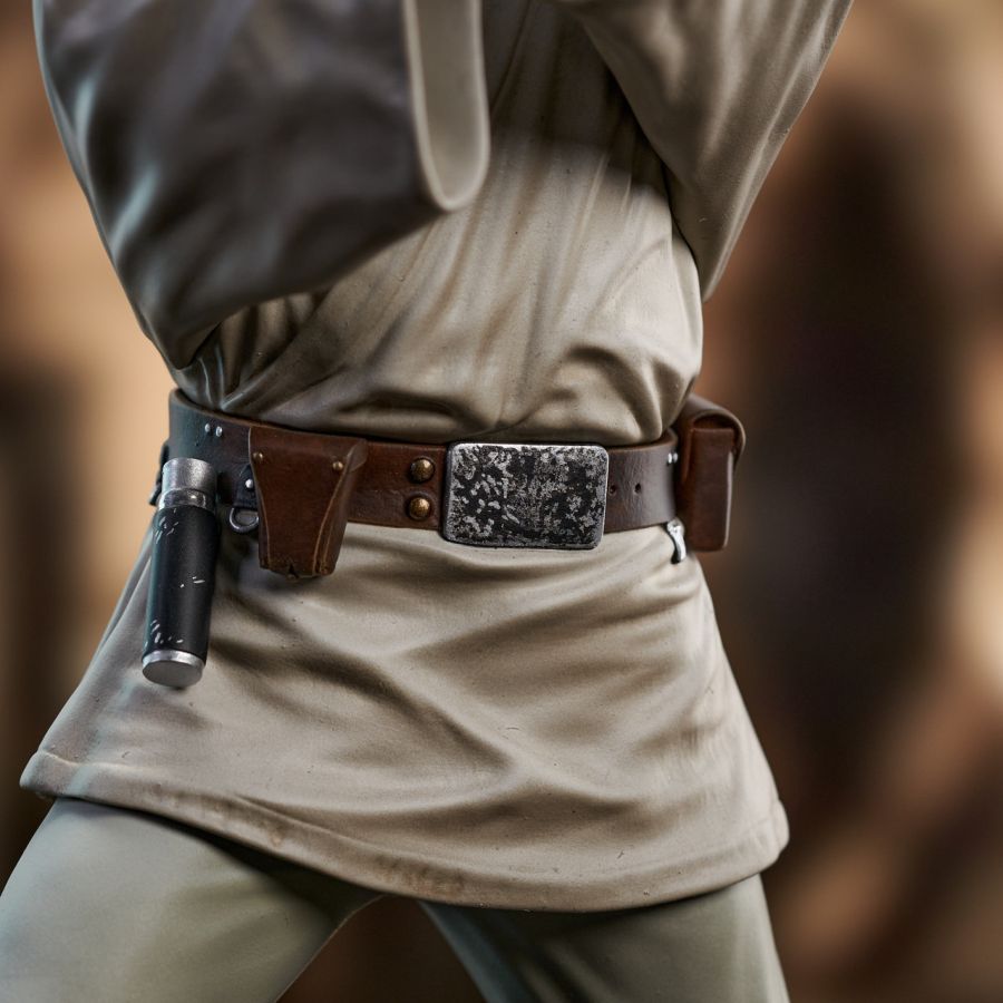 Star Wars - Luke Skywalker Training Statue