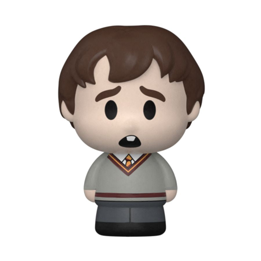 Harry Potter - Ron Mini Moment