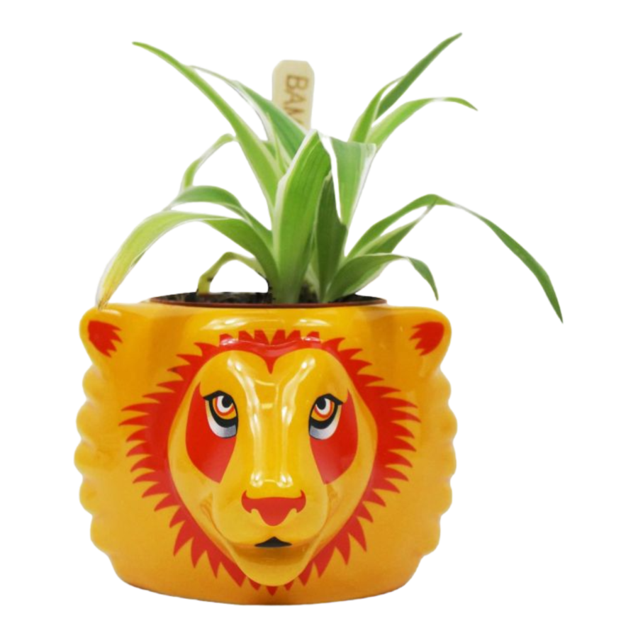 Harry Potter - Gryffindor Plant Pot