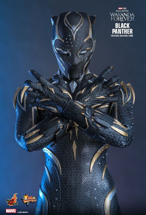 Black Panther 2: Wakanda Forever - Black Panther 1:6 Scale Figure