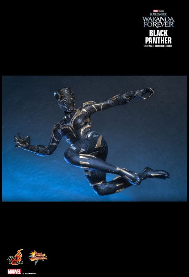 Black Panther 2: Wakanda Forever - Black Panther 1:6 Scale Figure