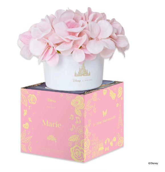 Disney Floral Bouquet Diffuser Marie