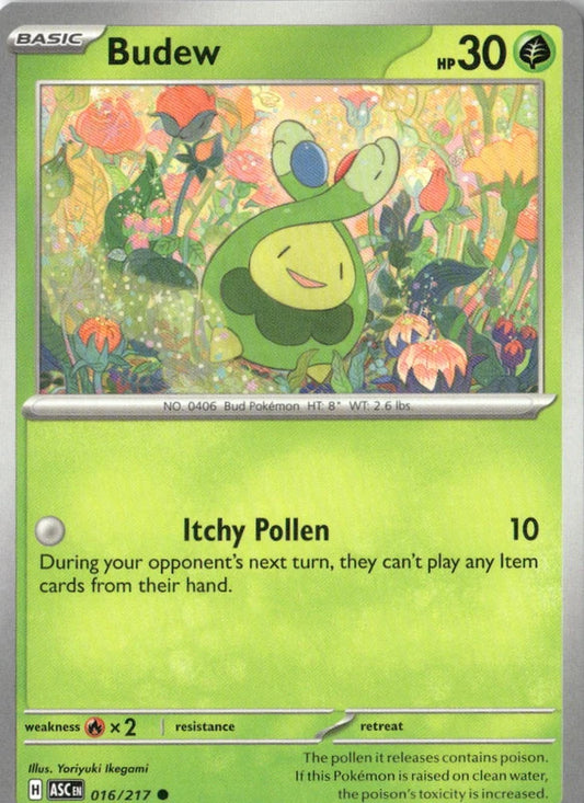 Budew - 016/217 - ME: Ascended Heroes