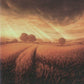Scan Image | Plains - Unstable | [1E613686]