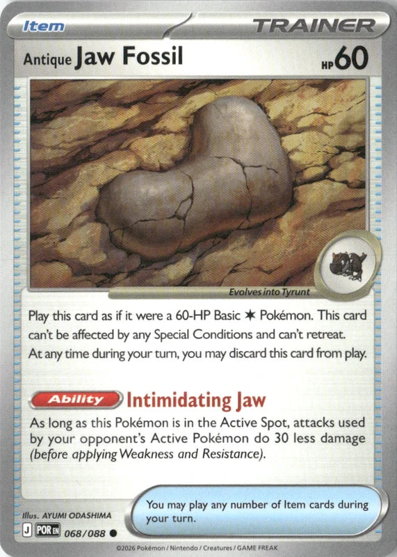 Antique Jaw Fossil - ME03: Perfect Order