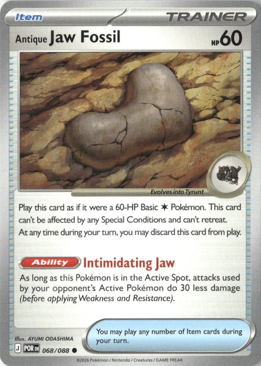 Antique Jaw Fossil - ME03: Perfect Order