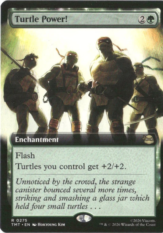 Turtle Power! (Extended Art) - Teenage Mutant Ninja Turtles