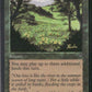 Scan Image | Summer Bloom - Visions | [D268C927]