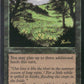 Scan Image | Summer Bloom - Visions | [D7F772DF]