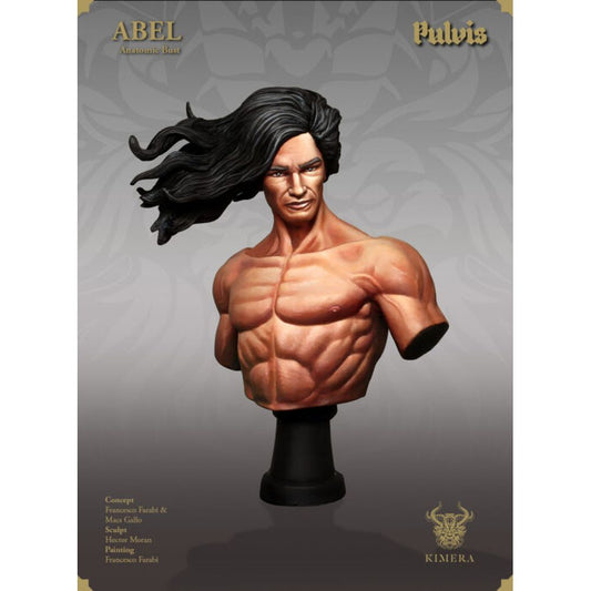 Kimera Models - K Busts Series - Abel Bust Anatomic Version