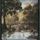 Scan Image | Swamp (Chocobo Track Foil) - Commander: FINAL FANTASY | [47BA8149]