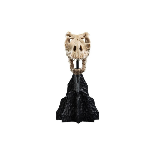WETA - The Lord of the Rings Trilogy - Skull of a Fell Beast