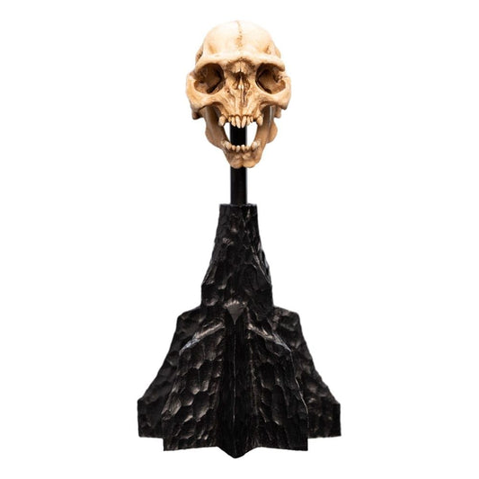 WETA - The Lord of the Rings Trilogy - Skull of a Moria Orc