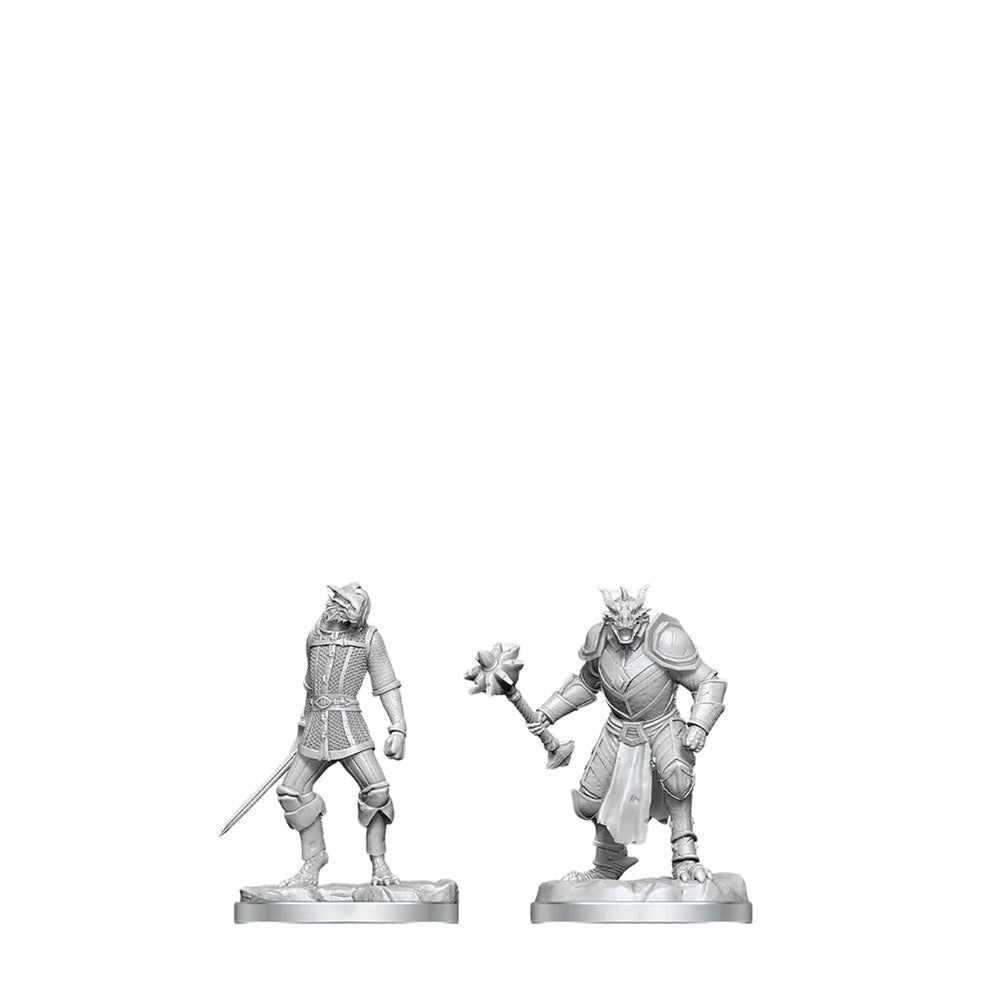 D&D Nolzur's Marvelous Miniatures: Dragonborn Paladin & Dragonborn Squire