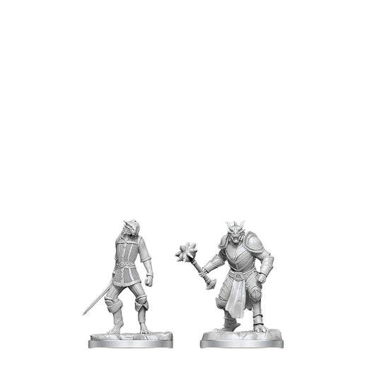 D&D Nolzur's Marvelous Miniatures: Dragonborn Paladin & Dragonborn Squire