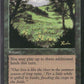 Scan Image | Summer Bloom - Visions | [8A713B54]