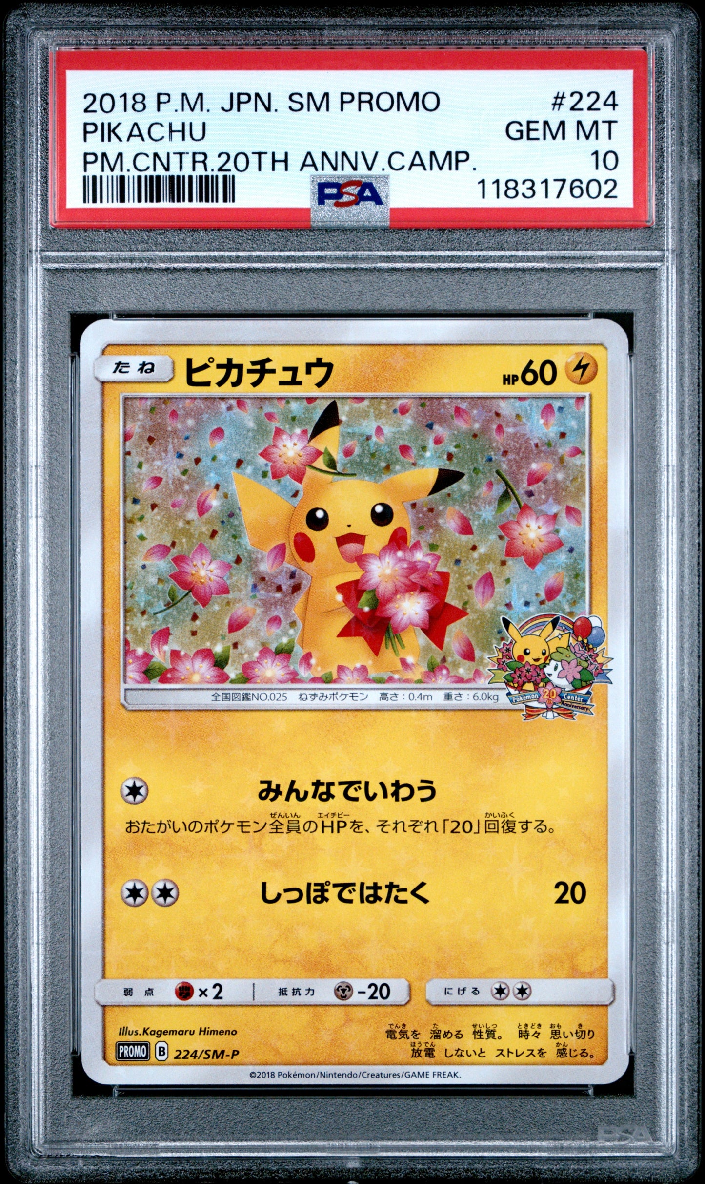2018 Pokemon Japanese Sm Promo 224 Pikachu Pm.Cntr.20Th Annv.Camp. - PSA 10