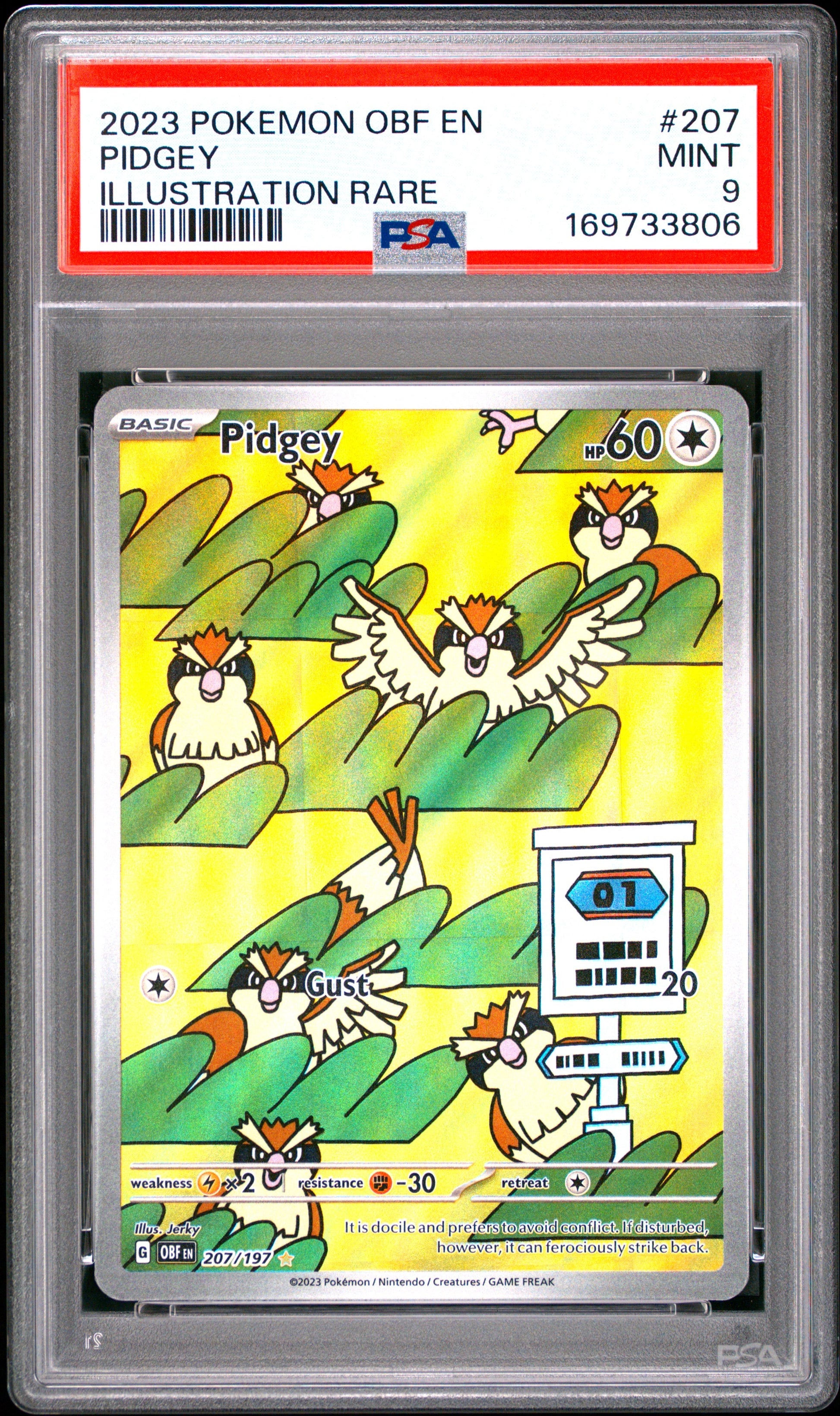 2023 Pokemon Obf En-Obsidian Flames 207 Pidgey Illustration Rare - PSA 9