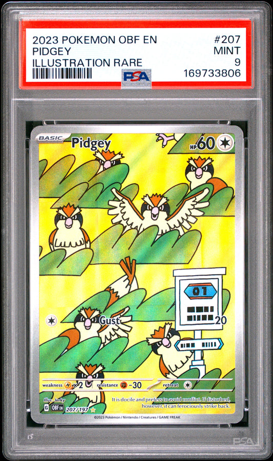 2023 Pokemon Obf En-Obsidian Flames 207 Pidgey Illustration Rare - PSA 9