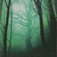 Scan Image | Forest - Unstable | [4CDD1306]
