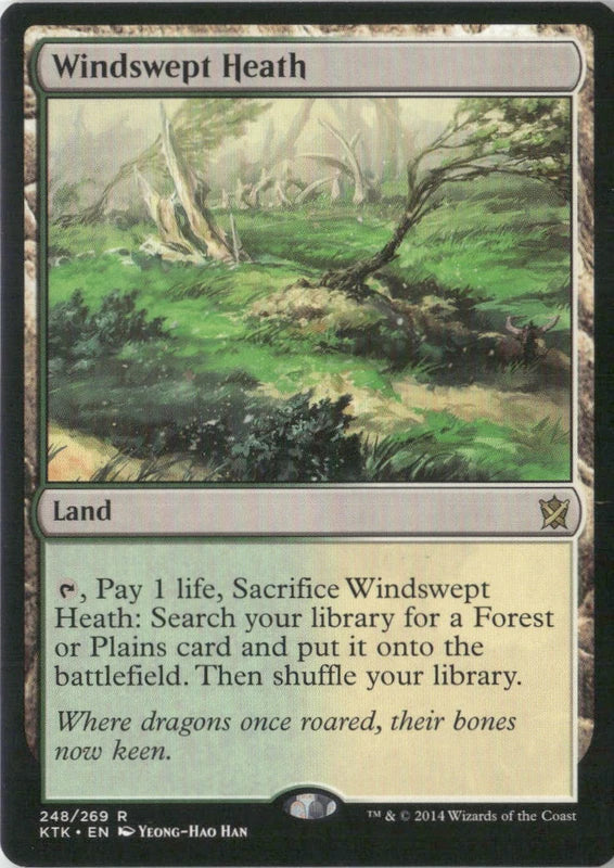 Scan Image | Windswept Heath - Khans of Tarkir | [8746C3F1]