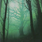 Scan Image | Forest - Unstable | [18266AEB]