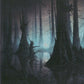 Scan Image | Swamp - Unstable | [A66FABCD]