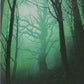Scan Image | Forest - Unstable | [F49D6236]
